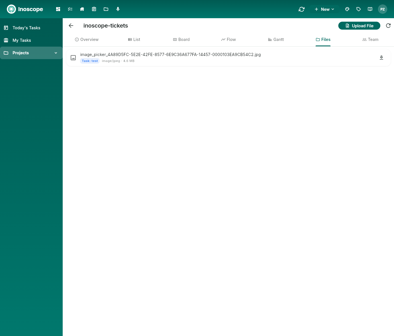 Pulse — project Files tab listing all attachments across tasks